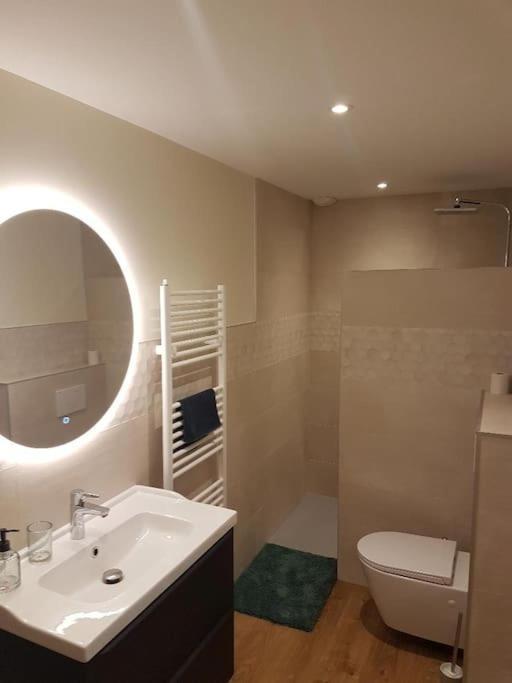 Le Cottage Sorans-les-Breurey エクステリア 写真